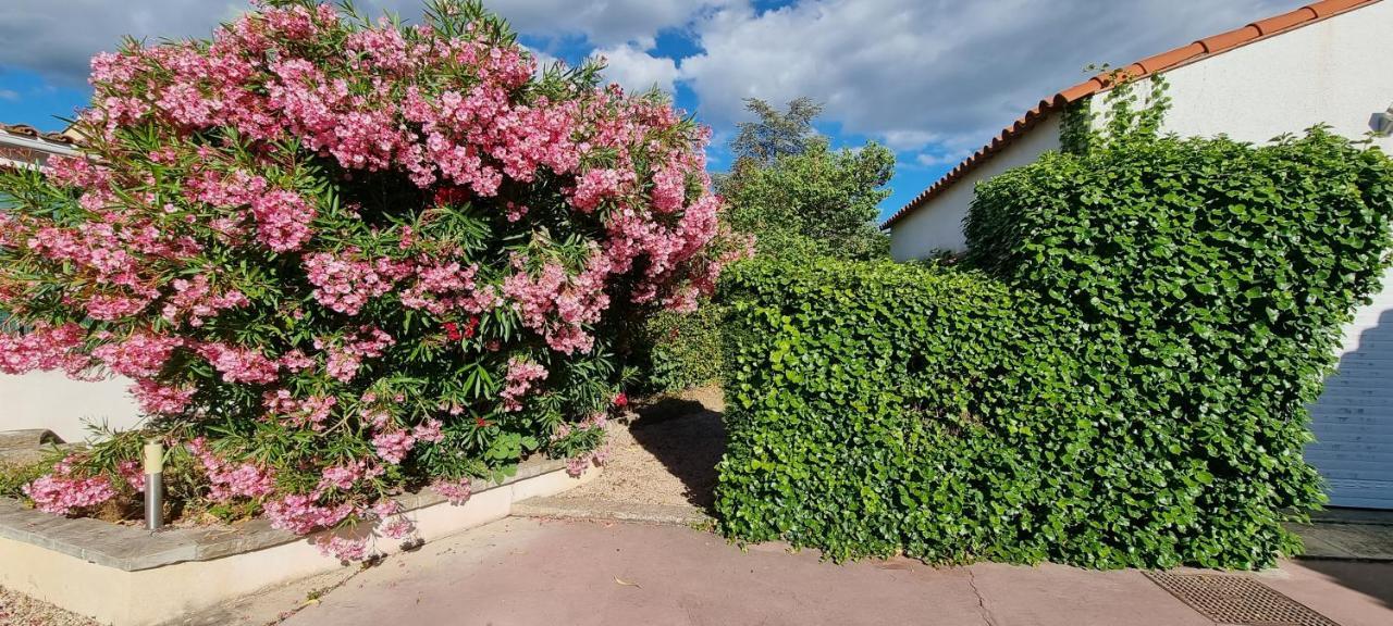 Studio Independant A La Villa Garlaban 3 Etoiles 제므노 외부 사진